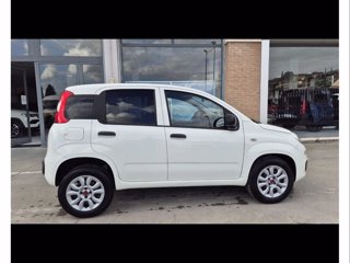 FIAT Panda van 0.9 nat.p. 80cv pop 2p.ti e5+(e5)