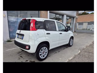 FIAT Panda van 0.9 nat.p. 80cv pop 2p.ti e5+(e5)