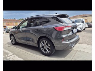 FORD Kuga 1.5 ecoblue st-line 2wd 120cv