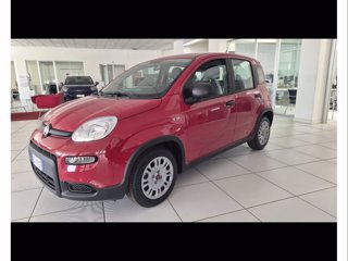 FIAT Panda 1.0 firefly hybrid s&s 70cv