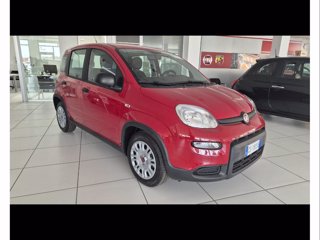 FIAT Panda 1.0 firefly hybrid s&s 70cv