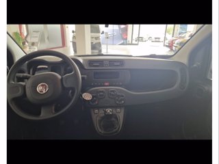 FIAT Panda 1.0 firefly hybrid s&s 70cv