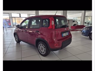 FIAT Panda 1.0 firefly hybrid s&s 70cv