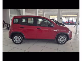 FIAT Panda 1.0 firefly hybrid s&s 70cv