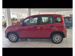 FIAT Panda 1.0 firefly hybrid s&s 70cv