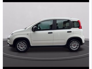 FIAT Panda 1.0 firefly hybrid s&s 70cv