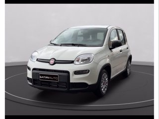 FIAT Panda 1.0 firefly hybrid s&s 70cv