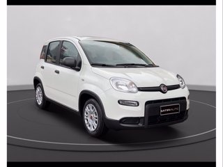 FIAT Panda 1.0 firefly hybrid s&s 70cv 5p.ti