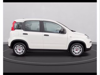 FIAT Panda 1.0 firefly hybrid s&s 70cv 5p.ti