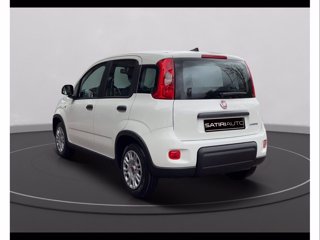 FIAT Panda 1.0 firefly hybrid s&s 70cv 5p.ti