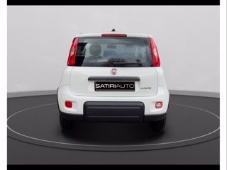 FIAT Panda 1.0 firefly hybrid s&s 70cv 5p.ti