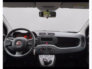 FIAT Panda My24 1.0 70cv Hybrid Panda