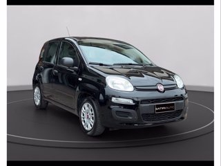 FIAT Panda My24 1.0 70cv Hybrid Panda