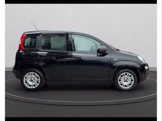 FIAT Panda My24 1.0 70cv Hybrid Panda