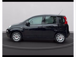 FIAT Panda My24 1.0 70cv Hybrid Panda