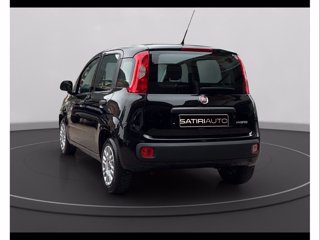 FIAT Panda My24 1.0 70cv Hybrid Panda