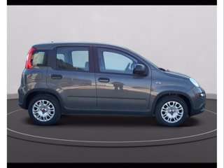 FIAT PANDA 1.0 FireFly 70cv S&S 6m HybridE6d-Final