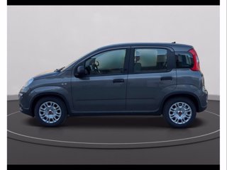 FIAT PANDA 1.0 FireFly 70cv S&S 6m HybridE6d-Final