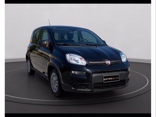 FIAT Panda 1.0 firefly hybrid s&s 70cv