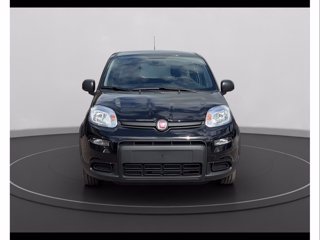 FIAT Panda 1.0 firefly hybrid s&s 70cv