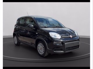 FIAT Panda 1.0 firefly hybrid s&s 70cv