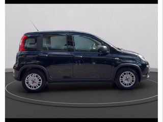 FIAT Panda 1.0 firefly hybrid s&s 70cv