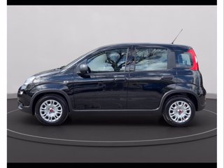 FIAT Panda 1.0 firefly hybrid s&s 70cv