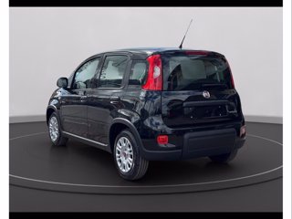 FIAT Panda 1.0 firefly hybrid s&s 70cv