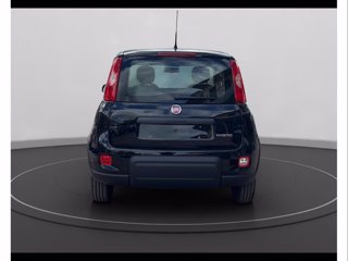 FIAT Panda 1.0 firefly hybrid s&s 70cv