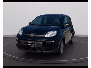 FIAT Panda 1.0 firefly hybrid s&s 70cv