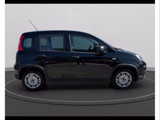 FIAT Panda 1.0 firefly hybrid s&s 70cv