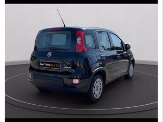 FIAT Panda 1.0 firefly hybrid s&s 70cv