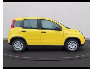 FIAT Panda 1.0 firefly hybrid s&s 70cv