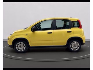 FIAT Panda 1.0 firefly hybrid s&s 70cv