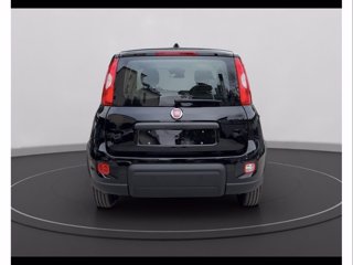 FIAT Panda 1.0 firefly hybrid s&s 70cv