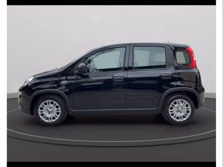 FIAT Panda 1.0 firefly hybrid s&s 70cv