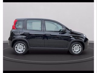 FIAT Panda 1.0 firefly hybrid s&s 70cv