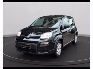 FIAT Panda 1.0 firefly hybrid s&s 70cv