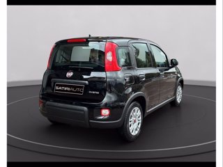 FIAT Panda 1.0 firefly hybrid s&s 70cv