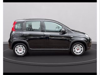 FIAT Panda 1.0 firefly hybrid s&s 70cv