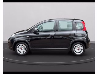 FIAT Panda 1.0 firefly hybrid s&s 70cv