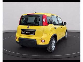 FIAT Panda 1.0 70cv Hybrid Panda