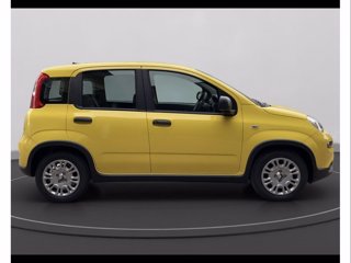 FIAT Panda 1.0 70cv Hybrid Panda