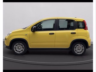 FIAT Panda 1.0 70cv Hybrid Panda