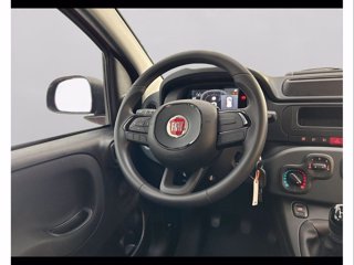 FIAT Panda 1.0 70cv Hybrid Panda