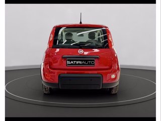 FIAT Panda 1.0 70cv Hybrid Panda