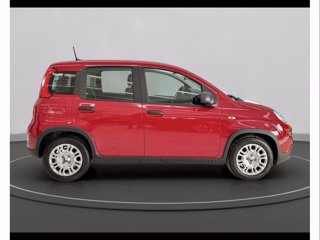 FIAT Panda 1.0 70cv Hybrid Panda