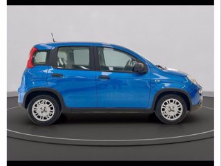 FIAT Panda 1.0 70cv Hybrid Panda