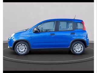 FIAT Panda 1.0 70cv Hybrid Panda