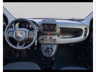 FIAT Panda 1.0 70cv Hybrid Panda